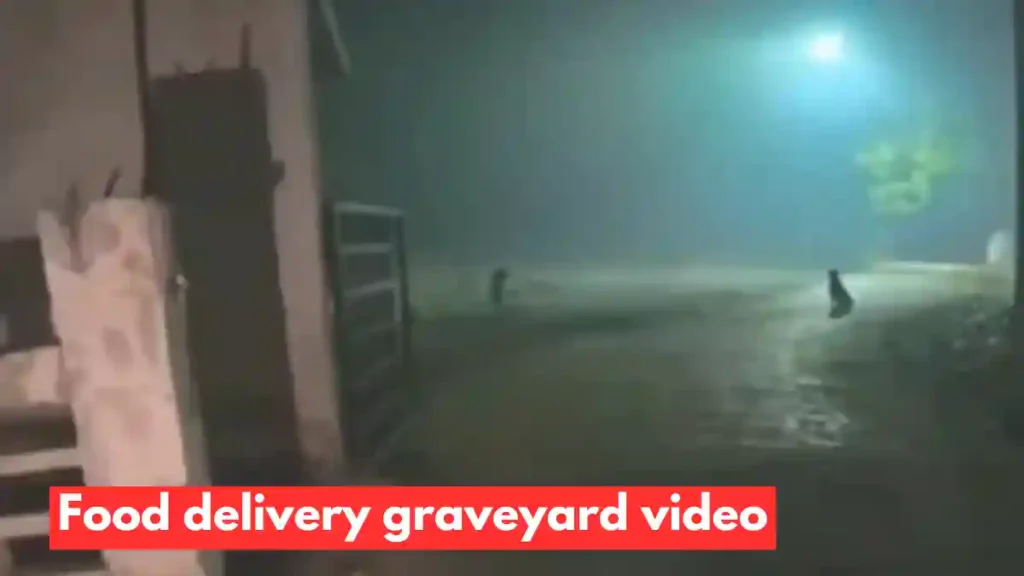 graveyard biryani delivery video, food delivery graveyard video
