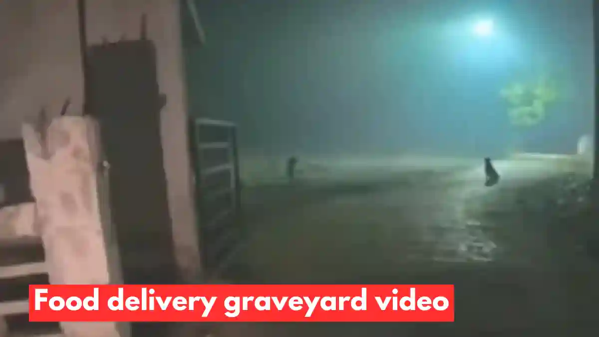 graveyard biryani delivery video, food delivery graveyard video