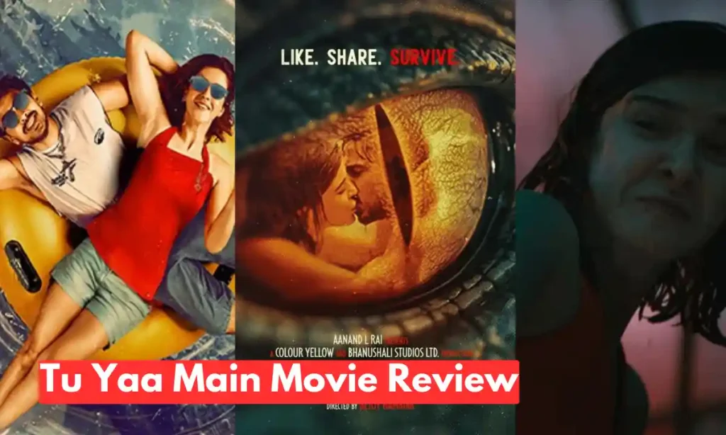 Tu Yaa Main, tu yaa main review, Tu Yaa Main Box Office